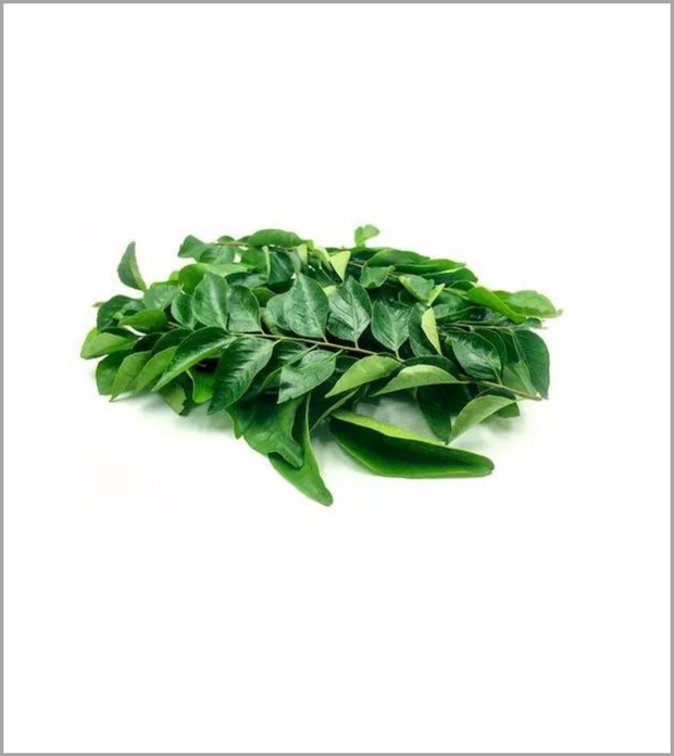 Curry Leaves (Curry Patta)