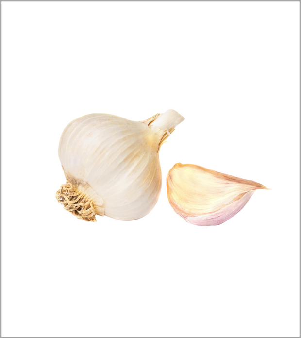Garlic (Lehsan)