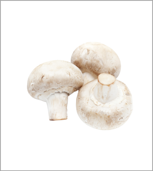 Mushroom (Imported)